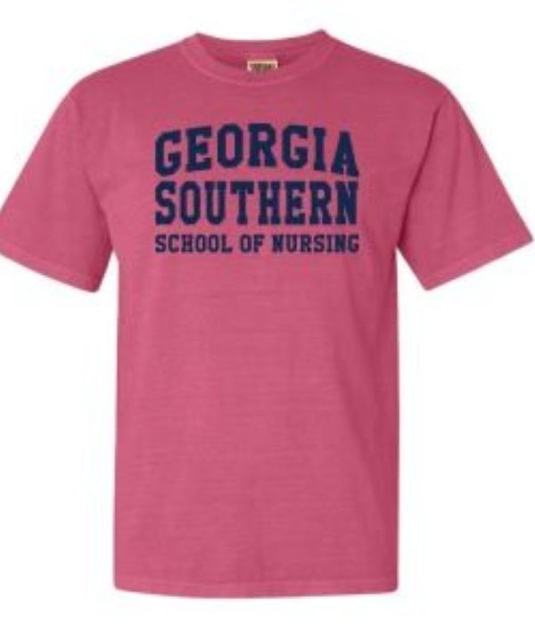 Alternative view of Georgia Southern Nursing Comfort Color Basic T-shirt