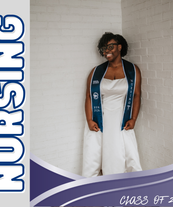 Alternative view of Georgia Southern NURSING Stole